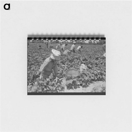 アートメモ帳-Hydraulic Presses at Cotton Seed Mill
 - ラッセル リー Memo.
