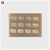 アートポストカード-Hauling
 - エドワード マイブリッジ Postcard.