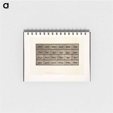 アートメモ帳-Animal Locomotion
 - ボストン公共図書館 Memo.