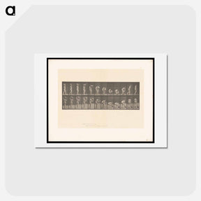 アートポストカード-The Water Carrier
 - エドワード マイブリッジ Postcard.