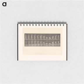 アートメモ帳-The Water Carrier
 - エドワード マイブリッジ Memo.