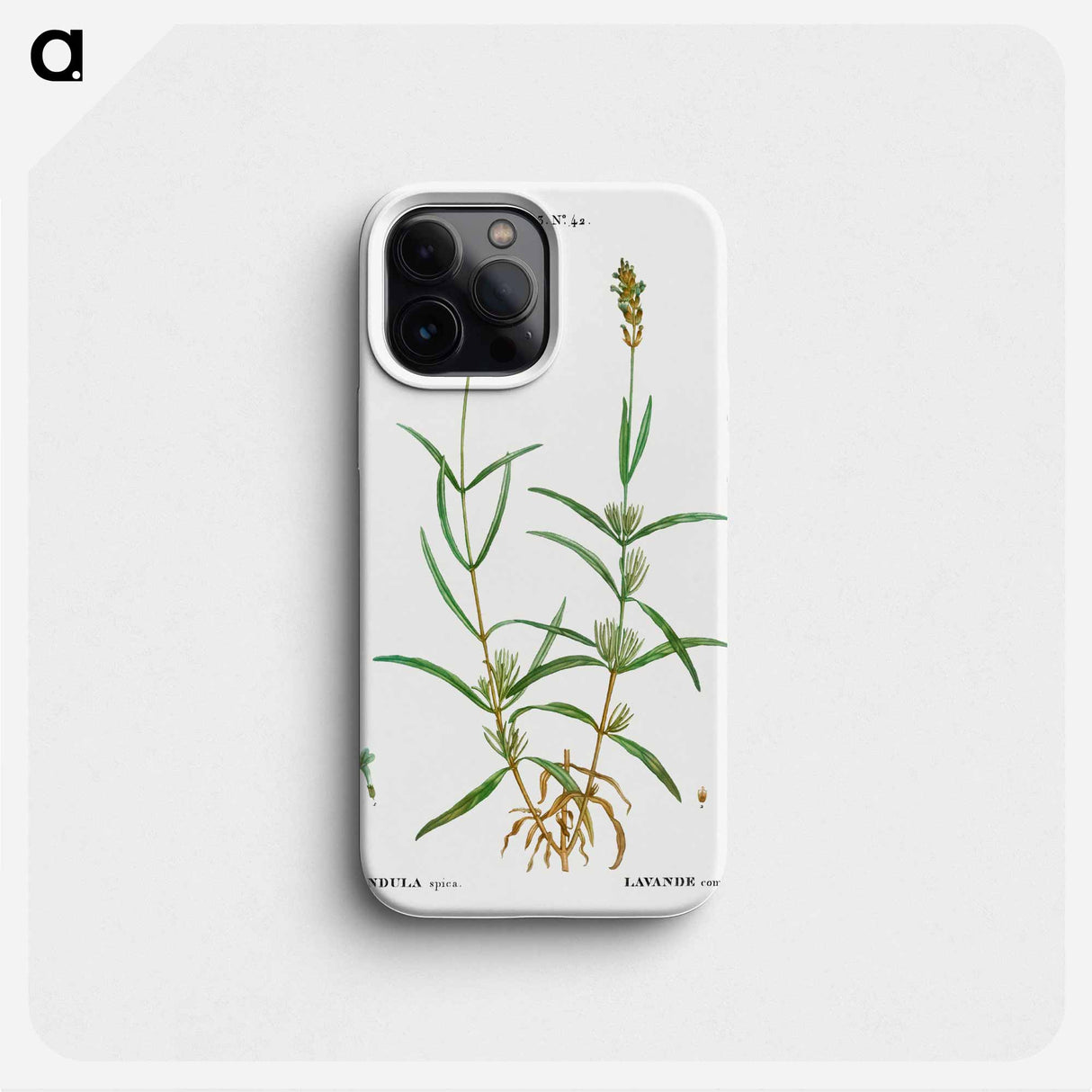 Broadleaved lavender - Pierre Joseph Redouté Phone Case.