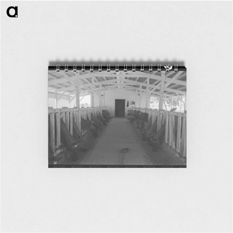 アートメモ帳-Tent Home
 - ラッセル リー Memo.