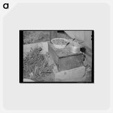 アートポストカード-Tent Home
 - ラッセル リー Postcard.