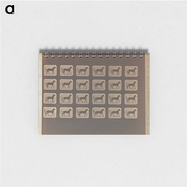 アートメモ帳-Walking - Change to Trotting
 - エドワード マイブリッジ Memo.