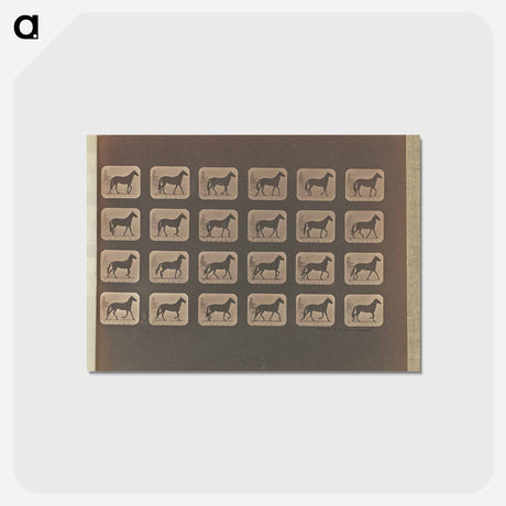 アートポストカード-Walking - Change to Trotting
 - エドワード マイブリッジ Postcard.