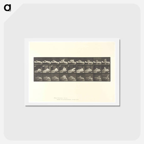 アートポストカード-Wrestling Men
 - エドワード マイブリッジ Postcard.