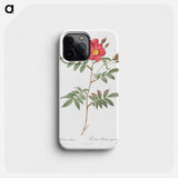 Red-Leaved Rose - Pierre Joseph Redouté Phone Case.