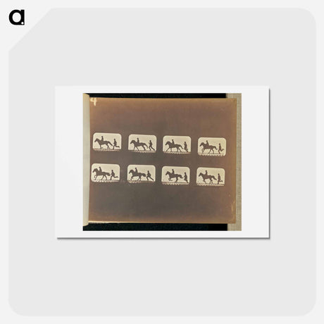 アートポストカード-Cantering
 - エドワード マイブリッジ Postcard.