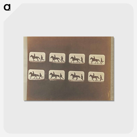 アートポストカード-Cantering
 - エドワード マイブリッジ Postcard.