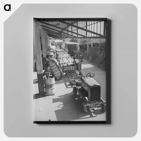 アートパネル-Anaconda Smelter
 - ラッセル リー Canvas.
