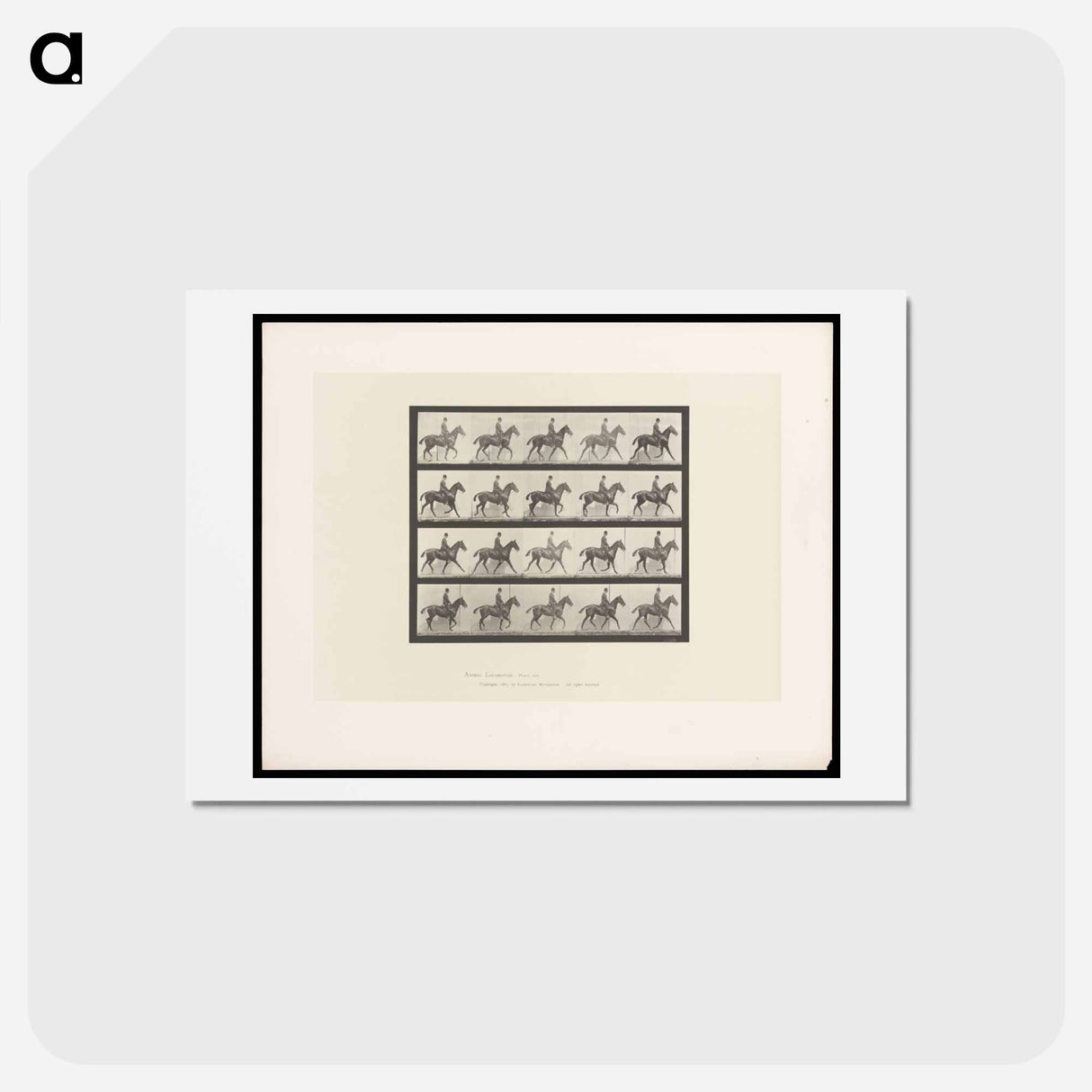 アートポストカード-Man on Horse
 - エドワード マイブリッジ Postcard.