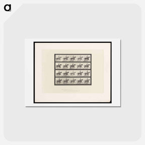 アートポストカード-Man on Horse
 - エドワード マイブリッジ Postcard.