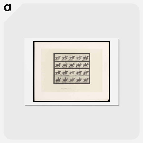 アートポストカード-Man on Horse
 - エドワード マイブリッジ Postcard.