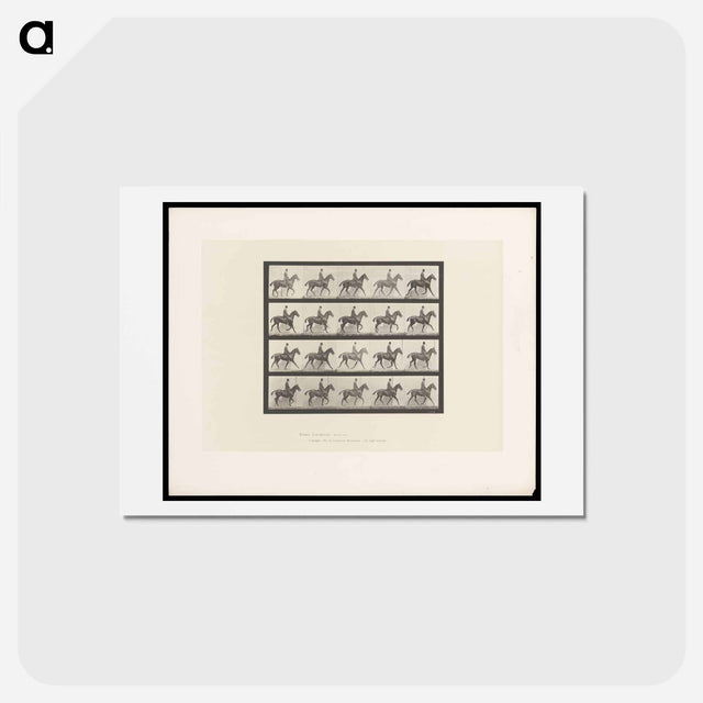 アートポストカード-Man on Horse
 - エドワード マイブリッジ Postcard.