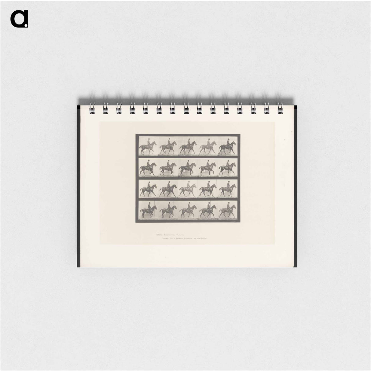 アートメモ帳-Man on Horse
 - エドワード マイブリッジ Memo.