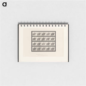 アートメモ帳-Man on Horse
 - エドワード マイブリッジ Memo.