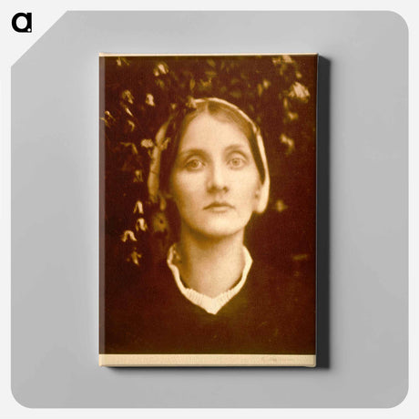 アートパネル-Mrs. Herbert Duckworth
 - セントルイス美術館 Canvas.