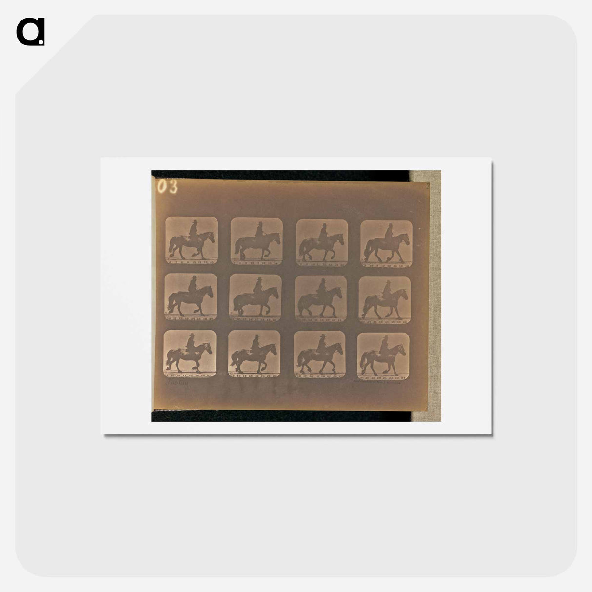 アートポストカード-Trotting
 - エドワード マイブリッジ Postcard.