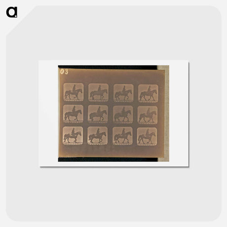 アートポストカード-Trotting
 - エドワード マイブリッジ Postcard.