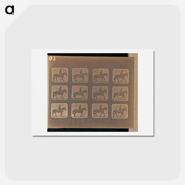 アートポストカード-Trotting
 - エドワード マイブリッジ Postcard.