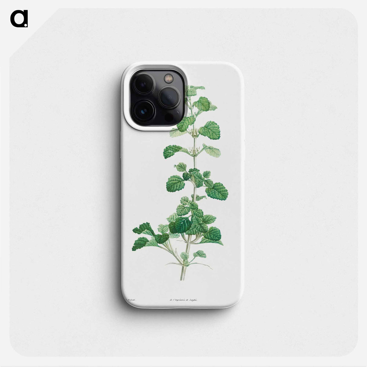 Cluster of small white flowers - ピエール ジョゼフ ルドゥーテ Phone Case.