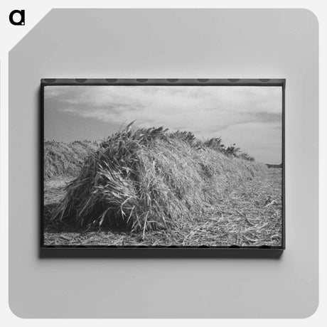 アートパネル-Mexican Section Outbuildings
 - ラッセル リー Canvas.