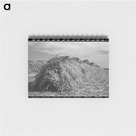 アートメモ帳-Mexican Section Outbuildings
 - ラッセル リー Memo.