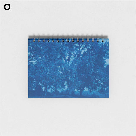 アートメモ帳-Forest Scene
 - セントルイス美術館 Memo.