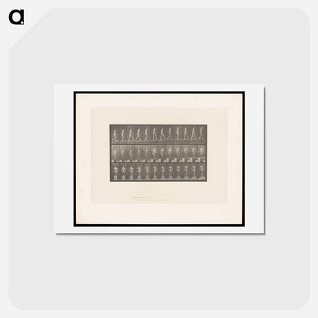 アートポストカード-Ascending Nude
 - エドワード マイブリッジ Postcard.