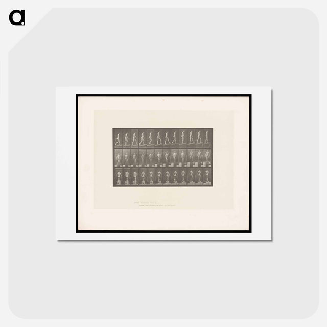 アートポストカード-Ascending Nude
 - エドワード マイブリッジ Postcard.
