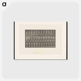 アートポストカード-Ascending Nude
 - エドワード マイブリッジ Postcard.