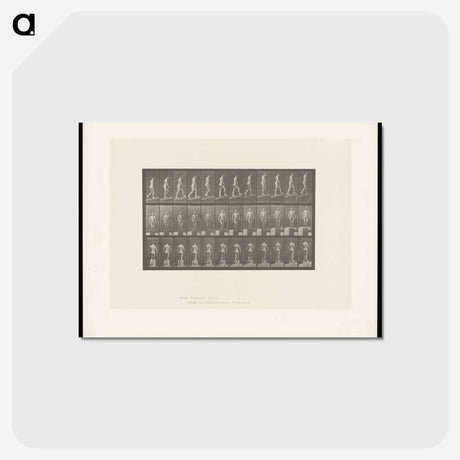 アートポストカード-Ascending Nude
 - エドワード マイブリッジ Postcard.