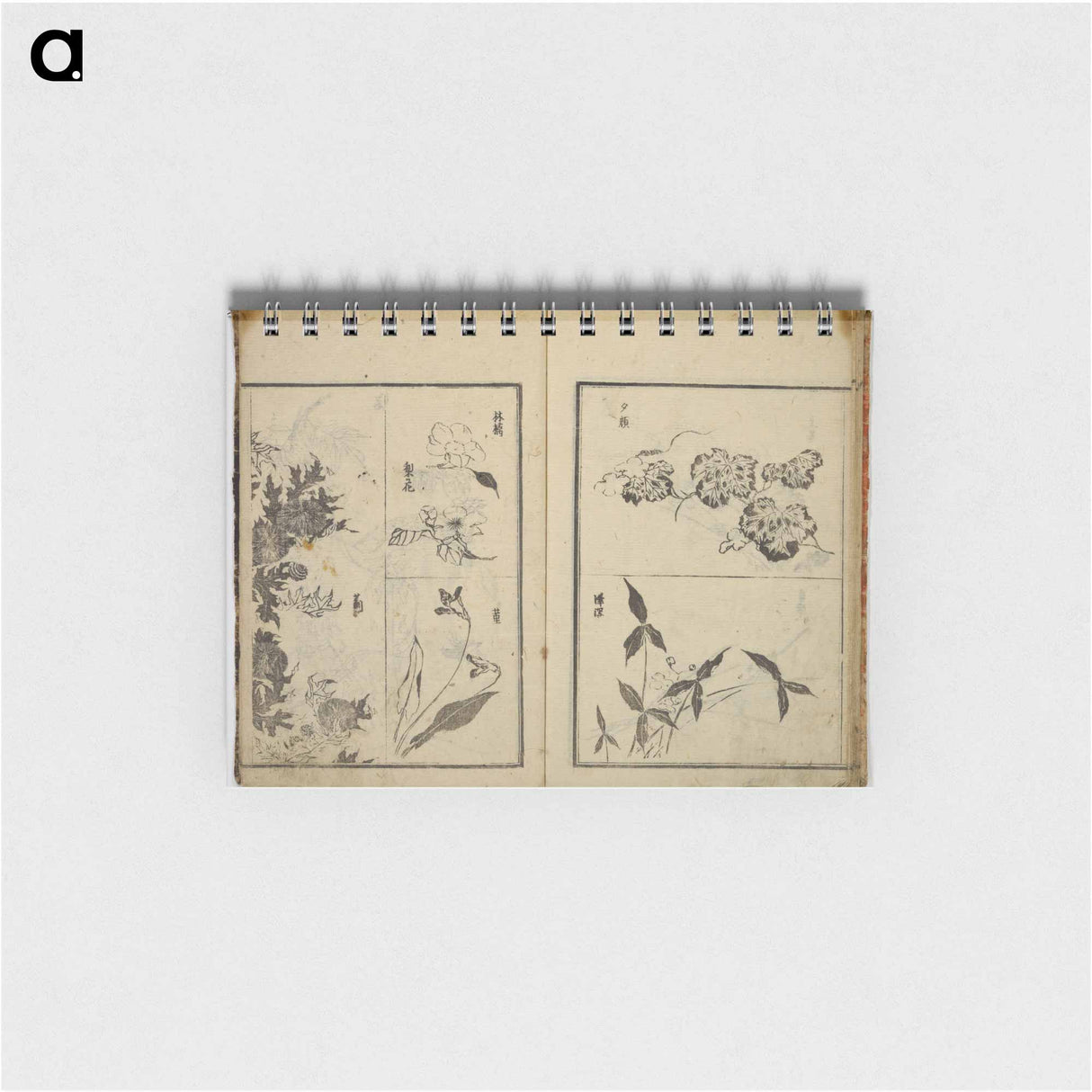 Random sketches by Hokusai - 葛飾 北斎 Memo.