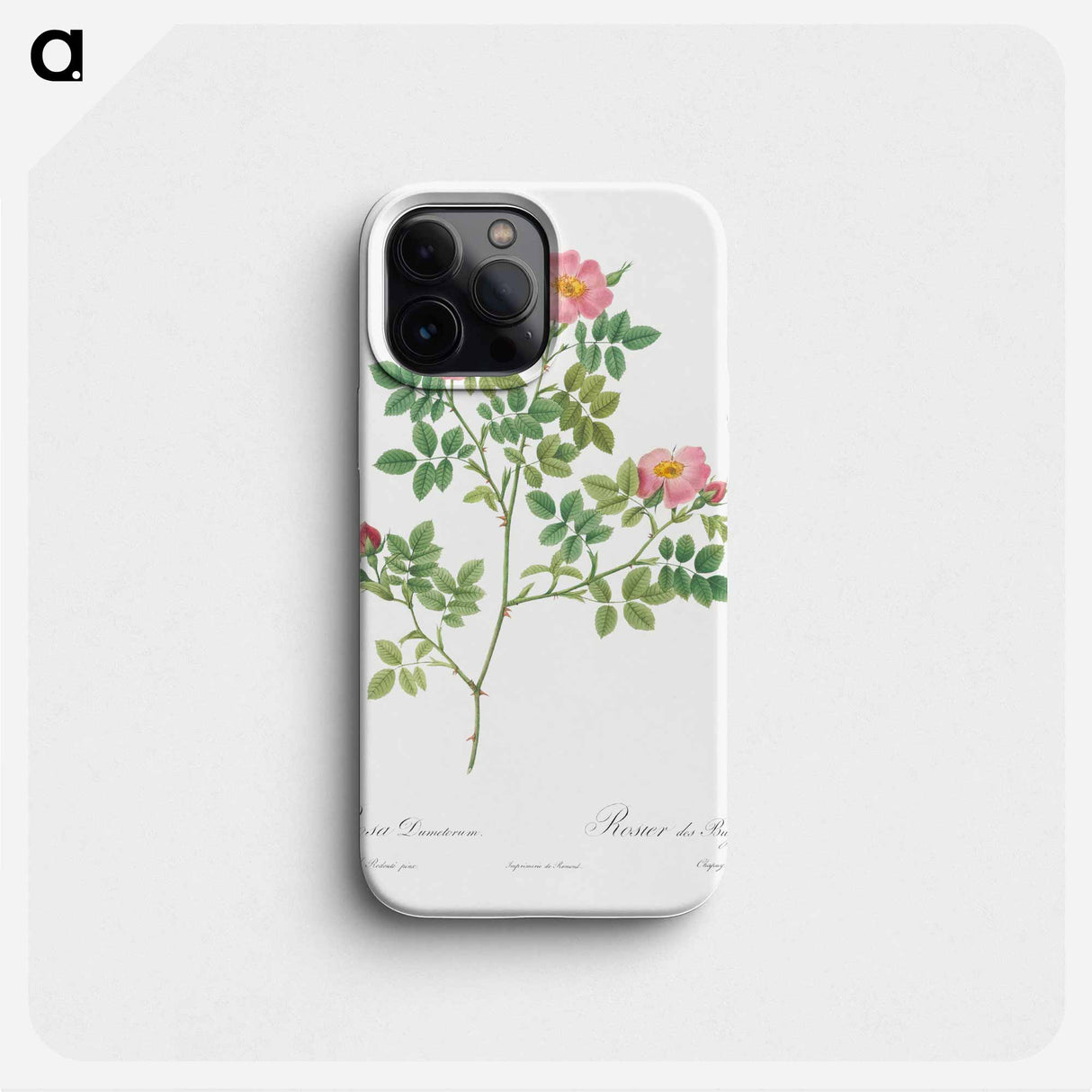 Corymb Rose - ピエール ジョゼフ ルドゥーテ Phone Case.