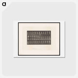 アートポストカード-Naked Woman Ascending
 - エドワード マイブリッジ Postcard.