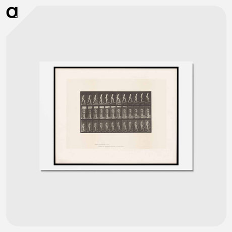 アートポストカード-Naked Woman Ascending
 - エドワード マイブリッジ Postcard.