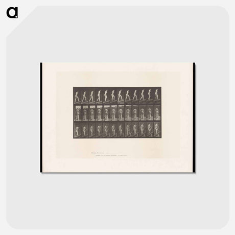 アートポストカード-Naked Woman Ascending
 - エドワード マイブリッジ Postcard.