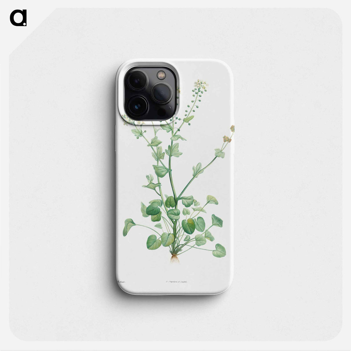 Scurvy-grass - Pierre Joseph Redouté Phone Case.