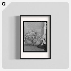 アートポスター-Guayule Plant
 - ラッセル リー Poster.