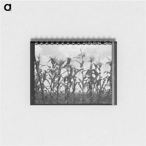 アートメモ帳-Corn - ドロテア ラング Memo.
