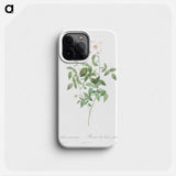 Rosa indica acuminata - ピエール ジョゼフ ルドゥーテ Phone Case.