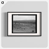 Looking over the Unruf farm from the barn - Dorothea Lange Poster.