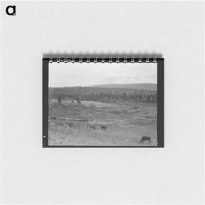 アートメモ帳-Looking over the Unruf farm from the barn - ドロテア ラング Memo.