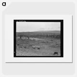 Looking over the Unruf farm from the barn - Dorothea Lange Poster.