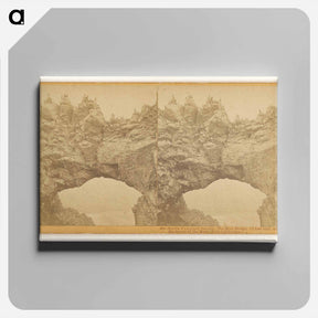 アートパネル-The Murr Bridge and Rookeries
 - エドワード マイブリッジ Canvas.