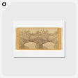 アートポストカード-The Murr Bridge and Rookeries
 - エドワード マイブリッジ Postcard.
