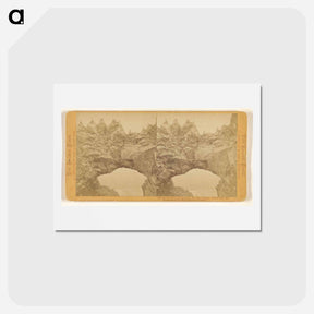 アートポストカード-The Murr Bridge and Rookeries
 - エドワード マイブリッジ Postcard.