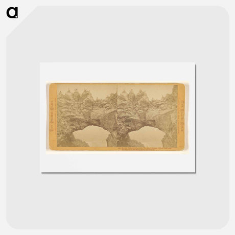 アートポストカード-The Murr Bridge and Rookeries
 - エドワード マイブリッジ Postcard.