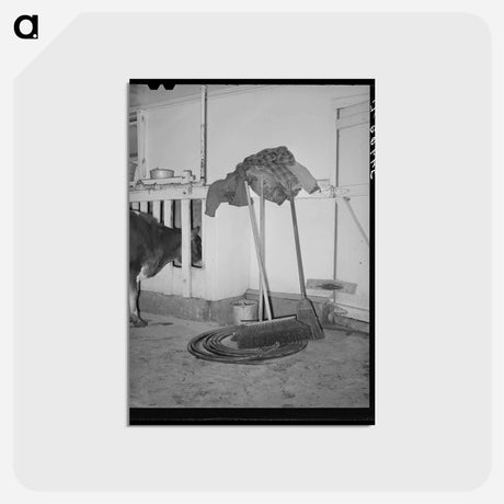 アートポストカード-Milking House Equipment
 - ラッセル リー Postcard.